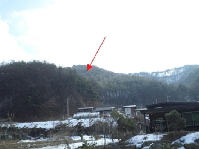 강원특별자치도 횡성군 청일면 유동리 산53