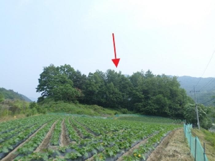 강원특별자치도 횡성군 공근면 어둔리 산86