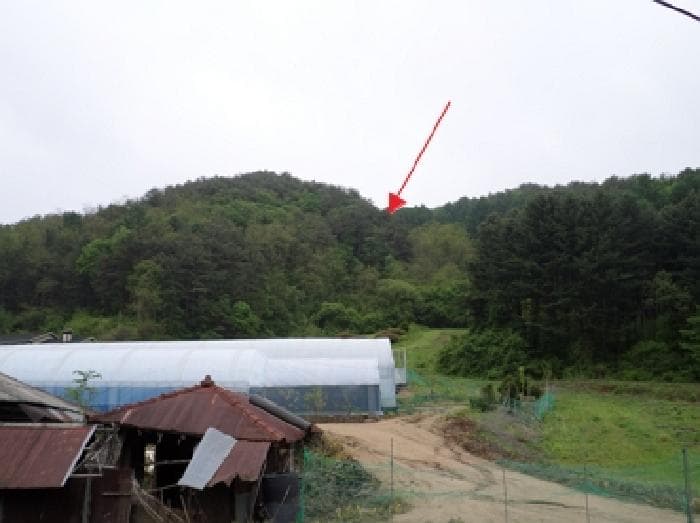 강원특별자치도 횡성군 둔내면 자포곡리 산195-14