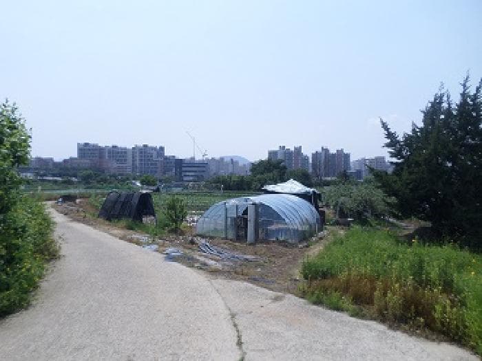 강원특별자치도 원주시 행구동 1655-4