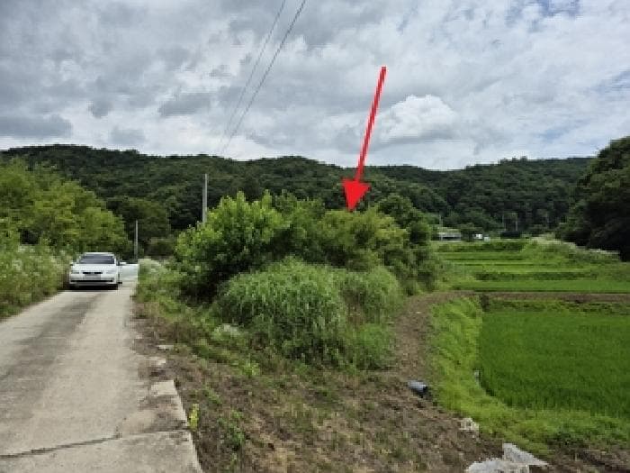 강원특별자치도 원주시 흥업면 대안리 142