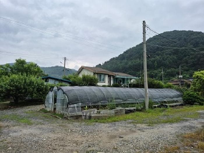 강원특별자치도 원주시 신림면 신림리 216