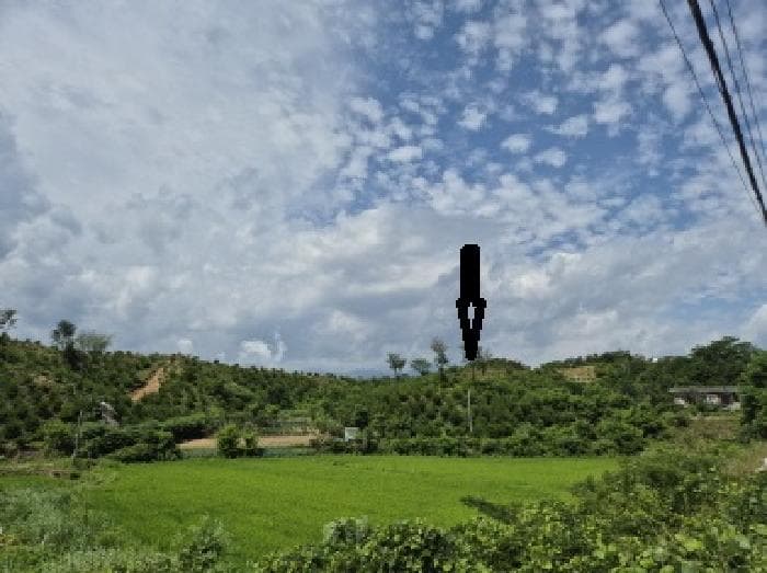 강원특별자치도 속초시 장사동 산281 외 1 필지