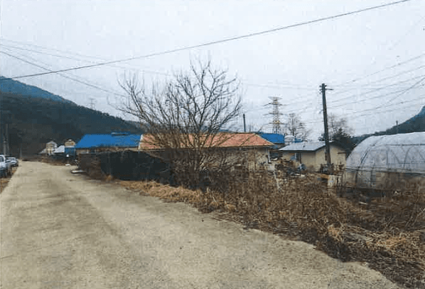 강원도 평창군 대화면 하안미리 산611 외 1 필지