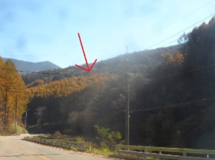 강원특별자치도 평창군 대관령면 용산리 584-45 외 1 필지