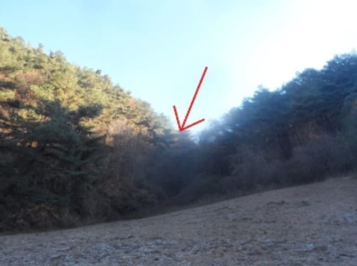 강원특별자치도 평창군 미탄면 율치리 20 외 1 필지
