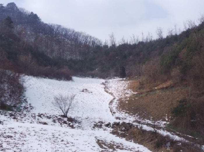 강원특별자치도 정선군 화암면 백전리 산376