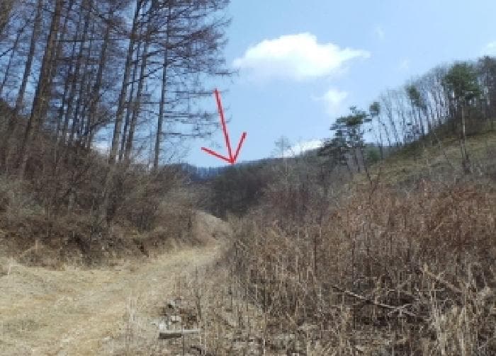 강원특별자치도 평창군 봉평면 덕거리 20