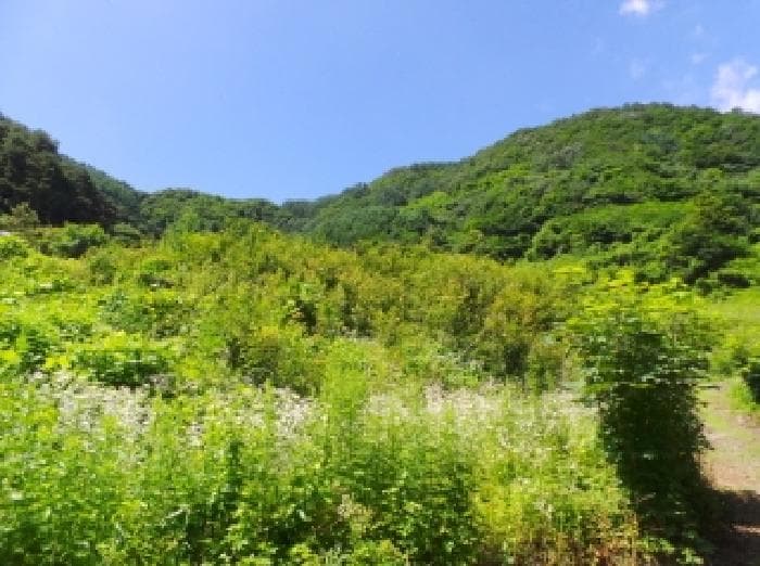 강원특별자치도 정선군 화암면 석곡리 654