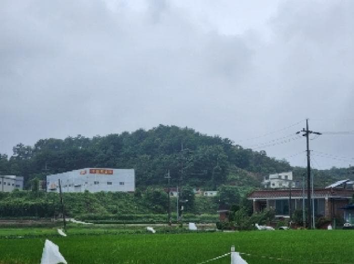 충청북도 진천군 진천읍 신정리 516-2 외 6 필지