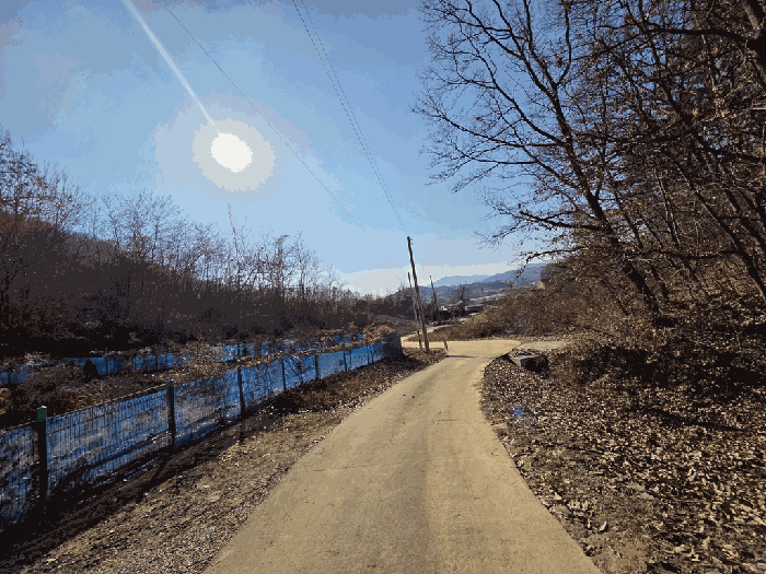 충청북도 보은군 보은읍 풍취리 산11-25
