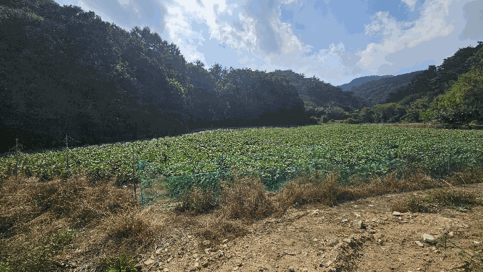 충청북도 괴산군 소수면 입암리 715