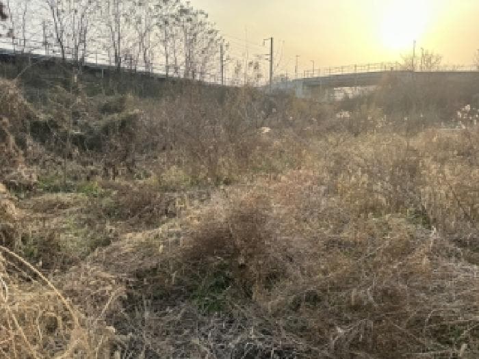 충청북도 증평군 증평읍 초중리 344-10
