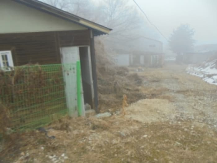 충청북도 음성군 삼성면 덕호로 391-9