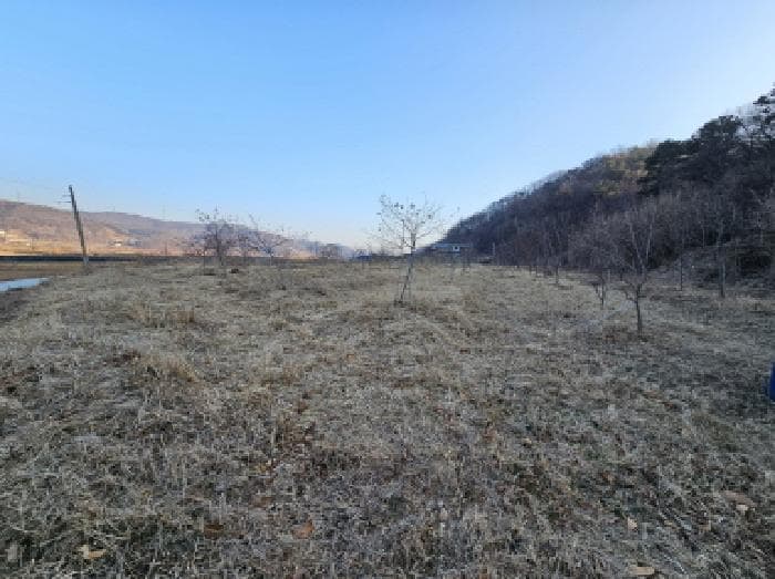 충청북도 충주시 앙성면 강천리 129-3