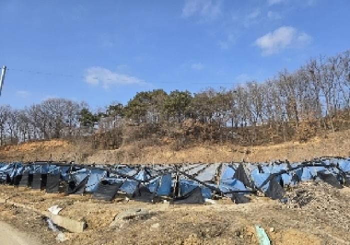 충청북도 음성군 대소면 수태리 593-1 외 3 필지