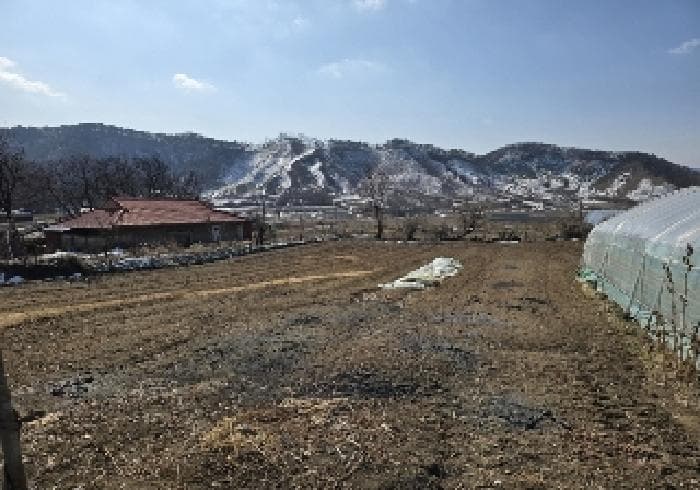 충청북도 음성군 원남면 덕정리 135