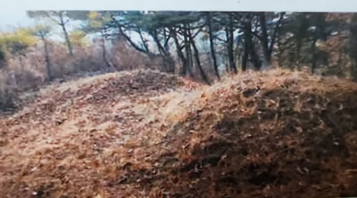 충청북도 제천시 수산면 구곡리 산14 외 2 필지