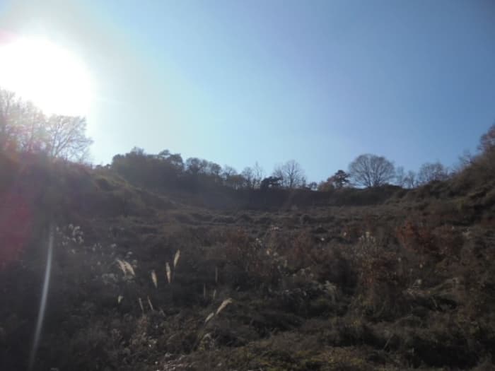 충청북도 제천시 수산면 수곡리 1157 외 1 필지