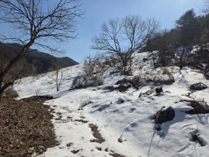 충청북도 제천시 청풍면 부산리 19-1 외 2 필지
