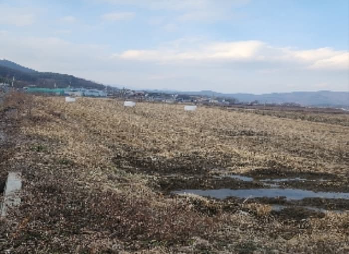 충청북도 영동군 매곡면 노천리 412-5