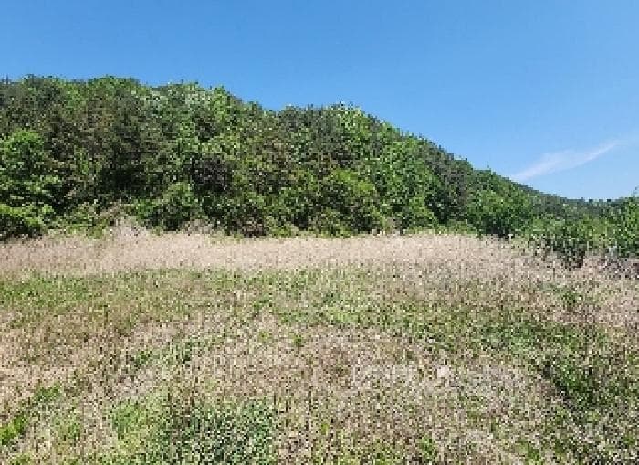 충청북도 영동군 학산면 지내리 1464-1 외 1 필지