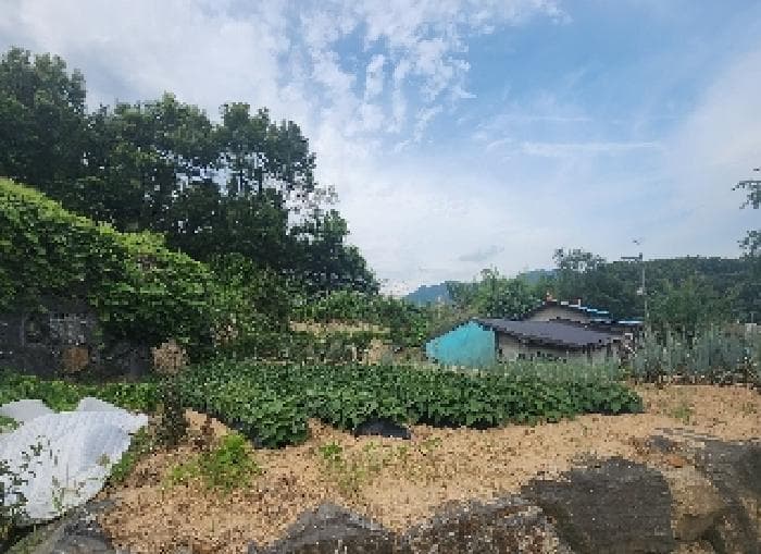 충청북도 옥천군 동이면 남곡리 산89 외 1 필지