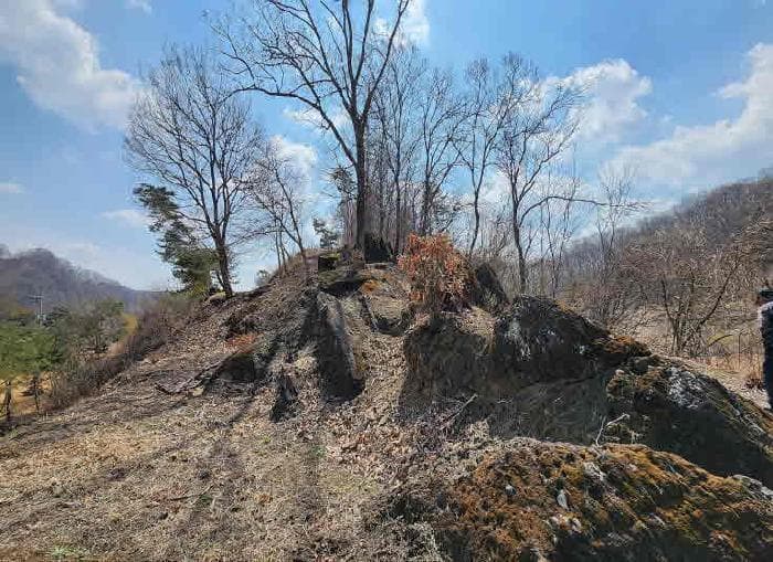 충청북도 옥천군 군북면 지오리 386-1 주1동 외 8 필지
