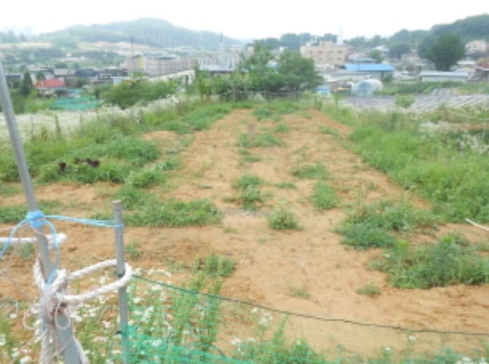 세종특별자치시  연기면 연기리 13-8 외 3 필지