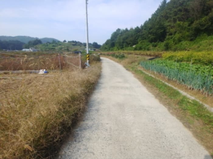 충청남도 금산군 부리면 관천리 367