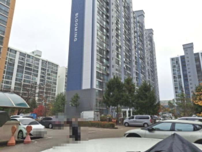 대전광역시 서구 정림서로 162-18, 107동 3층302호 (정림동,강변들보람아파트)