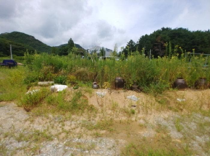 충청남도 금산군 금산읍 양지리 246-1 외 1 필지