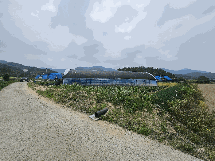 충청남도 금산군 남일면 신정리 829-56
