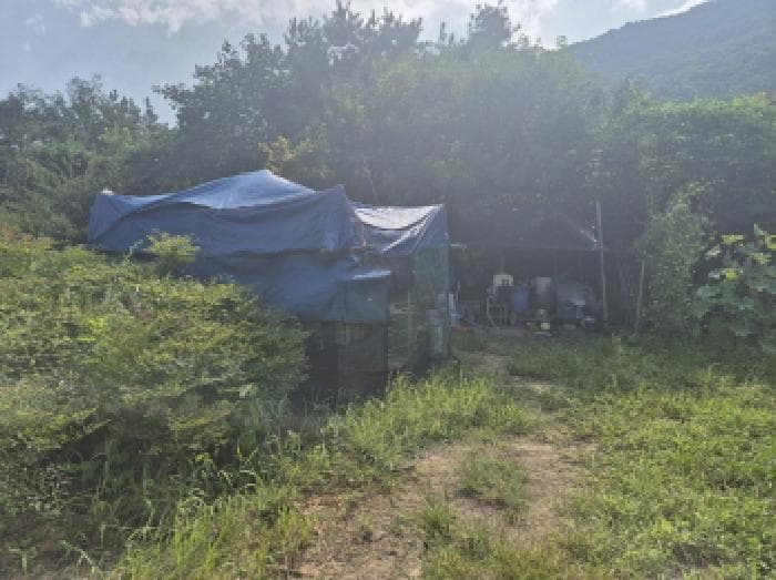 대전광역시 유성구 계산동 319-11 외 2 필지
