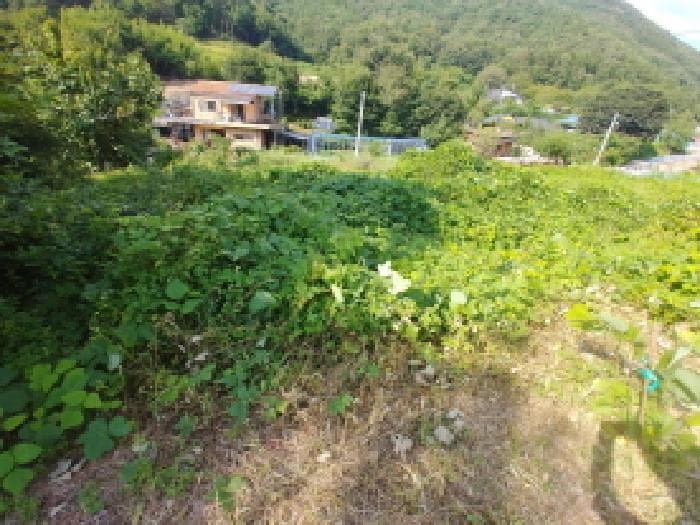 충청남도 금산군 제원면 신안리 152-2 외 1 필지