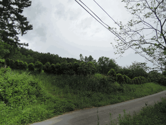 충청남도 서천군 비인면 칠지리 82-1