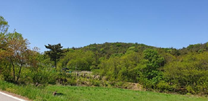 충청남도 예산군 덕산면 둔리 산36-1
