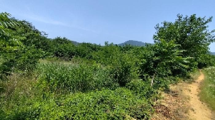충청남도 홍성군 광천읍 신진리 355-3