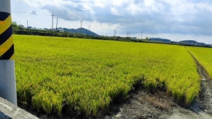 충청남도 서천군 서천읍 사곡리 386 천산스카이빌아파트 106동 12층1204호