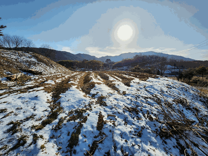 충청남도 홍성군 장곡면 신풍리 595-4 외 1 필지