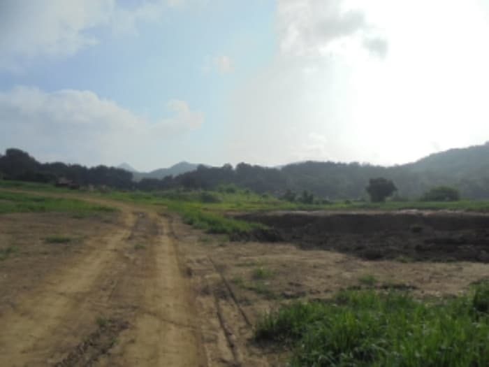 충청남도 부여군 홍산면 토정리 473-1 외 3 필지