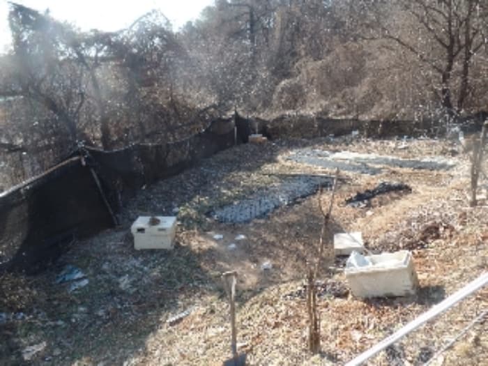 충청남도 계룡시 금암동 288-3