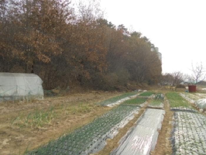 충청남도 논산시 성동면 원봉리 738-11