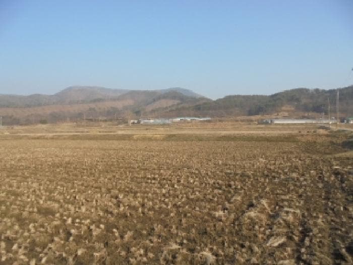 충청남도 부여군 외산면 복덕리 362-15