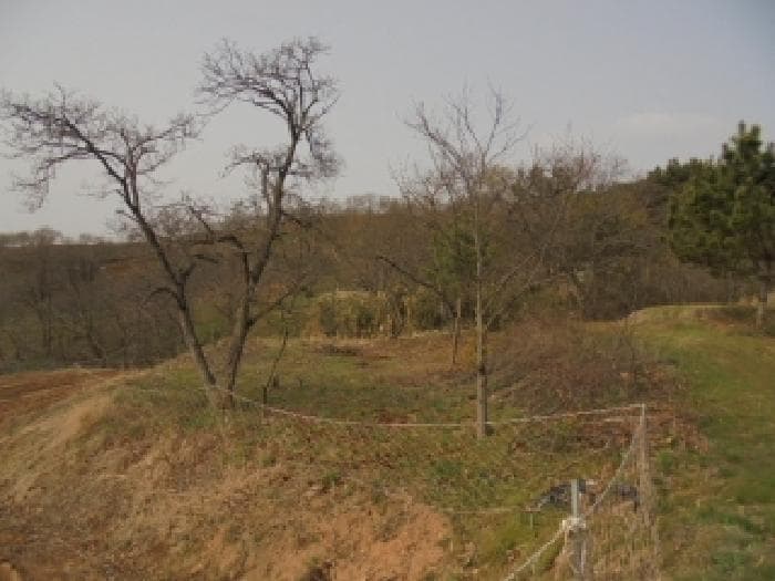 충청남도 부여군 은산면 내지리 527-4