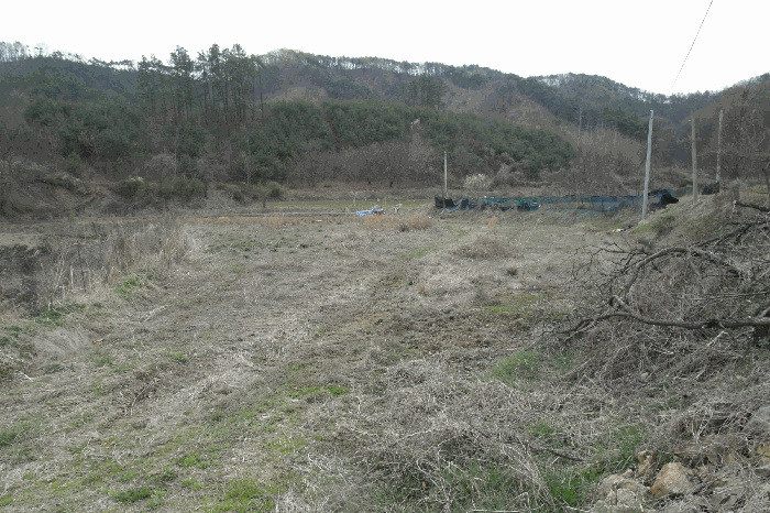 충청남도 논산시 벌곡면 조동리 78