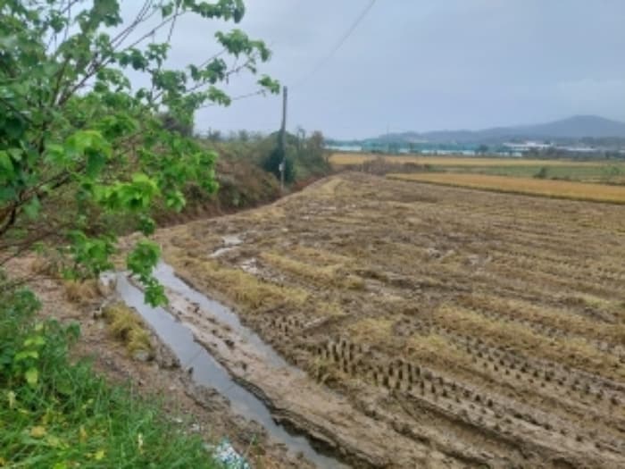 충청남도 아산시 인주면 관암리 100-3