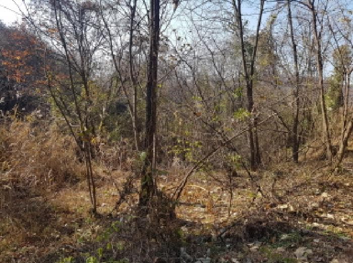 충청남도 천안시 동남구 목천읍 교천리 42