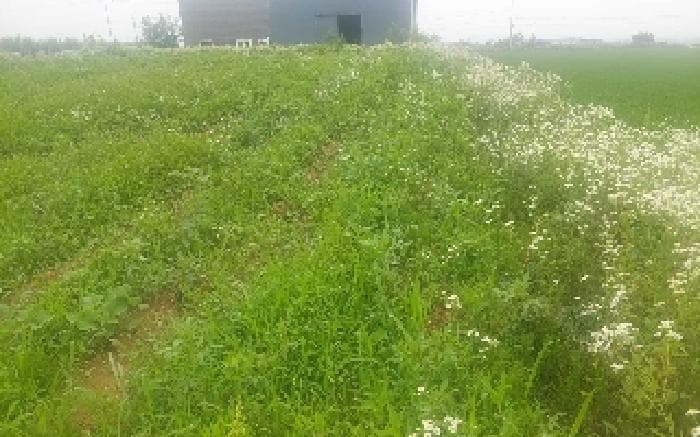 충청남도 천안시 서북구 성환읍 수향리 420-1