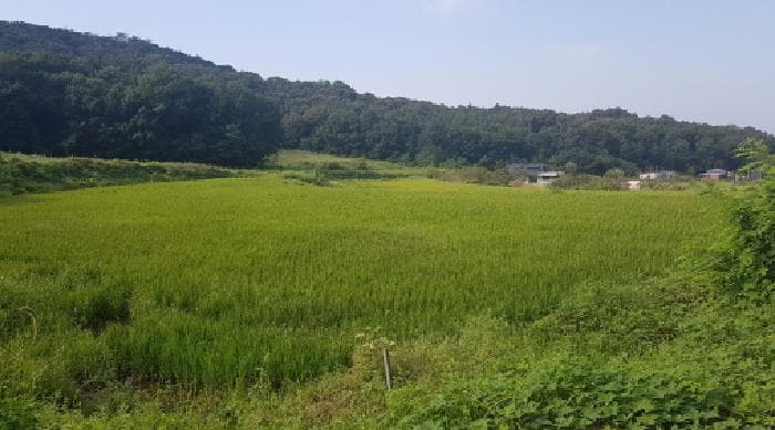 충청남도 천안시 서북구 입장면 시장리 277